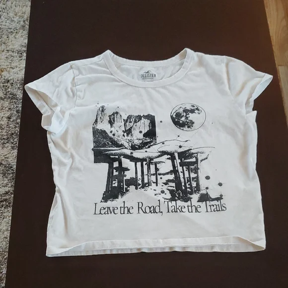 Hollister Blue Button-Up and White Graphic Tee Set - Picture 2 of 7